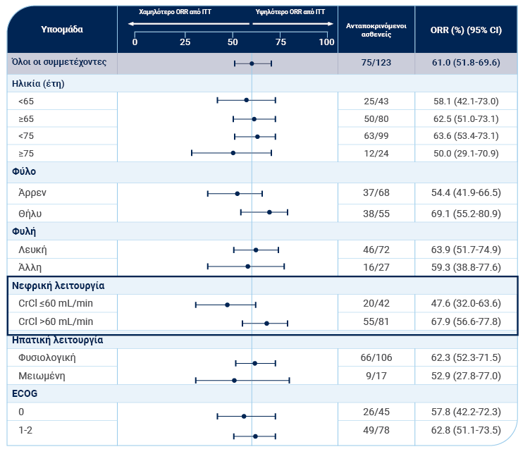 ORR by patient-related factors Accordion: Forest Plot 2
